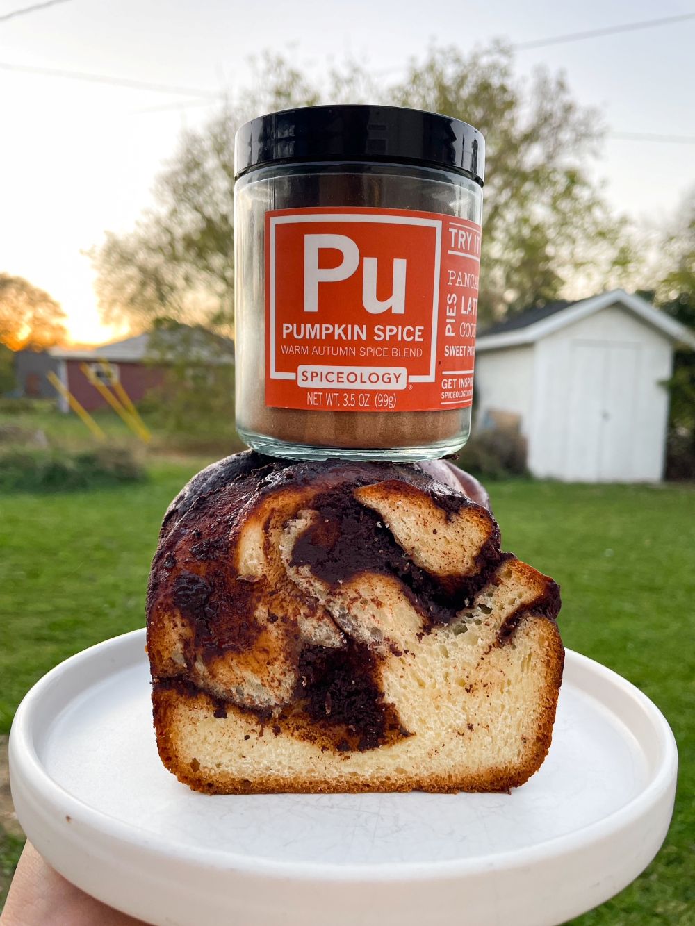 Pumpkin Spice Chocolate Babka Loaf