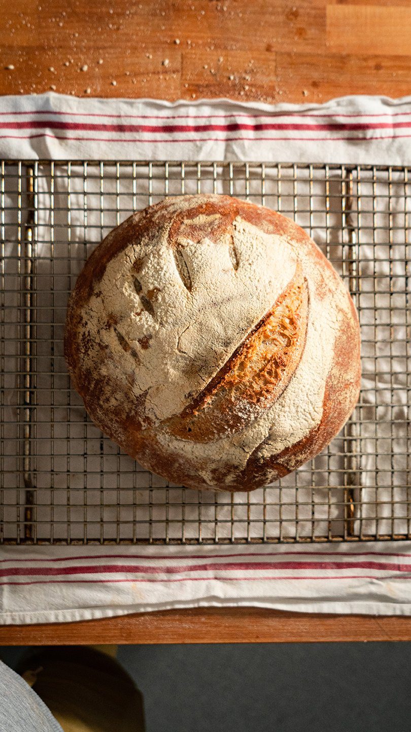 Sourdough bread cooling on a rack