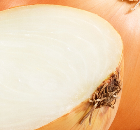 Close-up of a white onion with a brown root at the base.