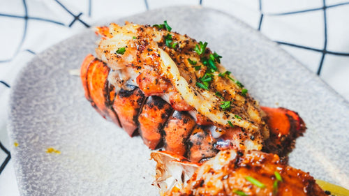 Seasoned and glazed lobster tail on a white plate garnished with fresh herbs