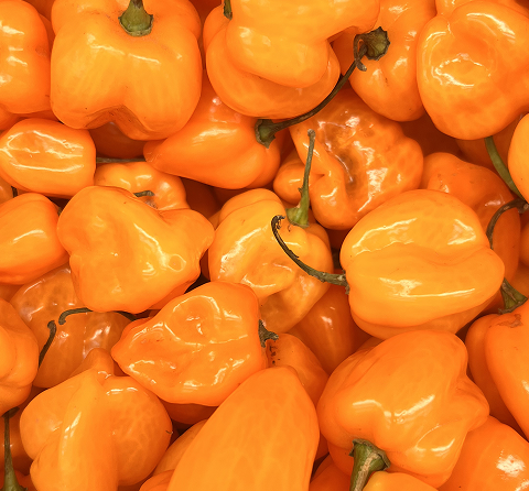 Close-up of bright orange peppers with green stems.