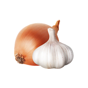 Onion and garlic bulb on a white background