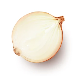 Halved onion on a white background