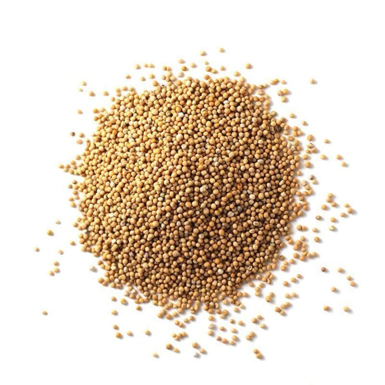 Yellow Mustard Seed for home cooking