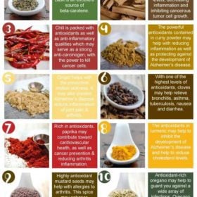Top 10 antioxidant her spices and their benefits