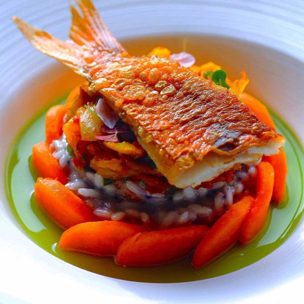 Red mullet caribbean cod in a white bowl